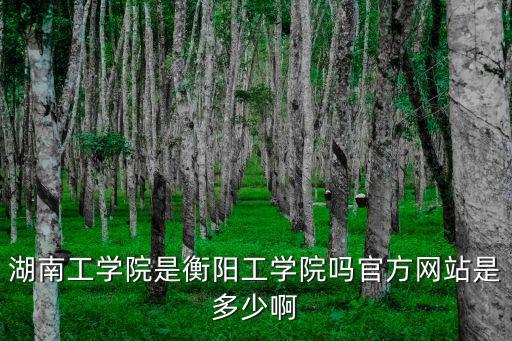 湖南工學院是衡陽工學院嗎官方網站是多少啊