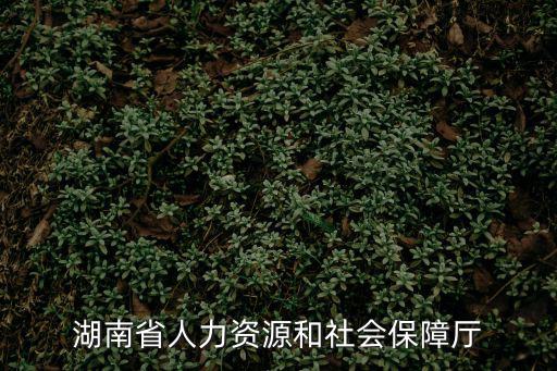 湖南省人力資源和社會(huì)保障廳