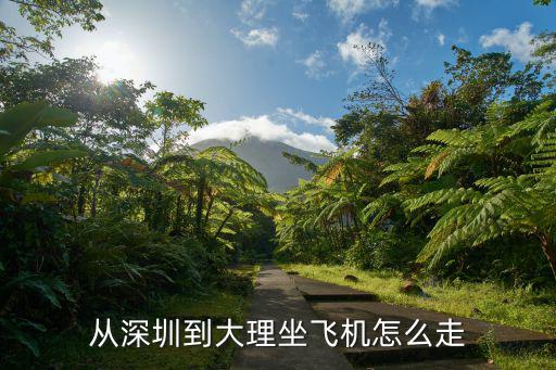 從深圳到大理坐飛機(jī)怎么走