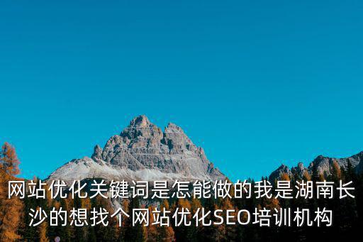 網站優化關鍵詞是怎能做的我是湖南長沙的想找個網站優化SEO培訓機構