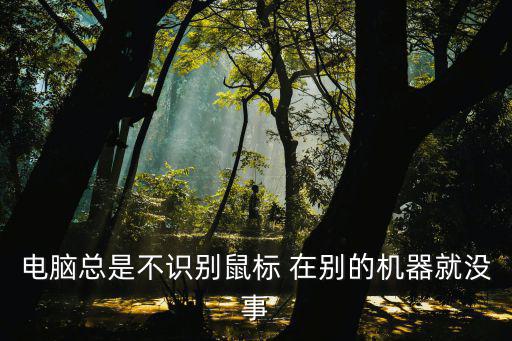 電腦總是不識別鼠標 在別的機器就沒事
