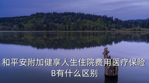 和平安附加健享人生住院費用醫療保險B有什么區別