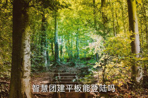 智慧團建平板能登陸嗎