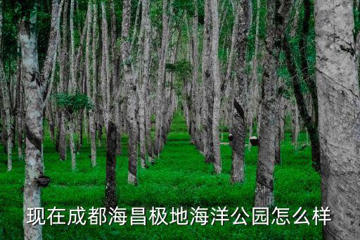 現在成都海昌極地海洋公園怎么樣