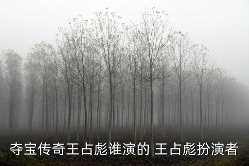 奪寶傳奇王占彪誰演的 王占彪扮演者