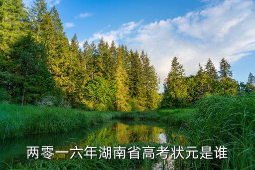兩零一六年湖南省高考狀元是誰