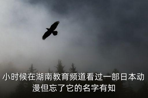 小時候在湖南教育頻道看過一部日本動漫但忘了它的名字有知