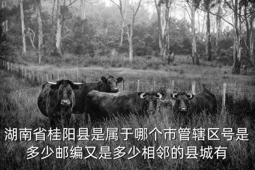 湖南省桂陽縣是屬于哪個市管轄區號是多少郵編又是多少相鄰的縣城有