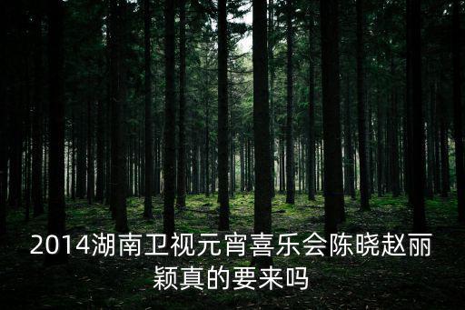 2014湖南衛(wèi)視元宵喜樂會(huì)陳曉趙麗穎真的要來嗎