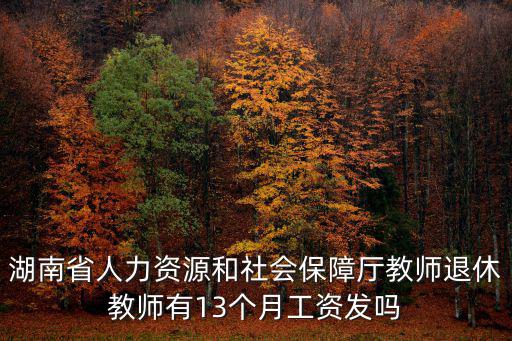 湖南省人力資源和社會(huì)保障廳教師退休教師有13個(gè)月工資發(fā)嗎