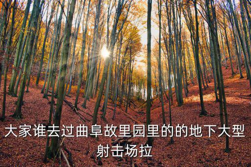 大家誰去過曲阜故里園里的的地下大型射擊場拉