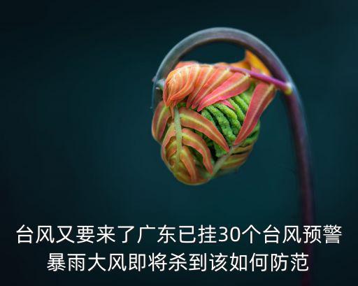 臺風又要來了廣東已掛30個臺風預警暴雨大風即將殺到該如何防范