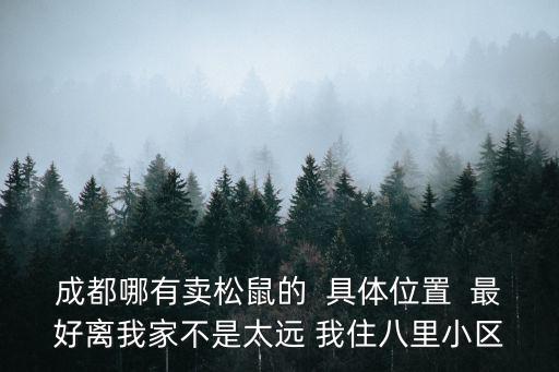成都哪有賣松鼠的  具體位置  最好離我家不是太遠(yuǎn) 我住八里小區(qū)