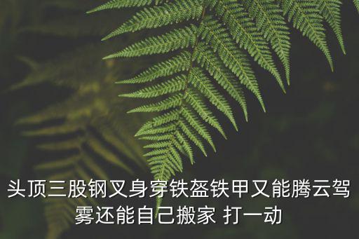 湖南一景區免費發放一米帽，頭頂三股鋼叉身穿鐵盔鐵甲又能騰云駕霧還能自己搬家 打一動