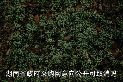 湖南省政府采購網意向公開可取消嗎