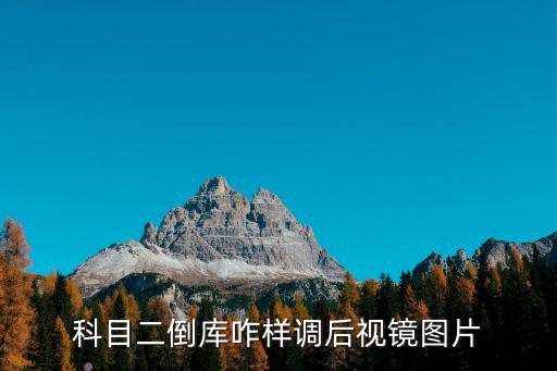 科目二倒庫咋樣調后視鏡圖片