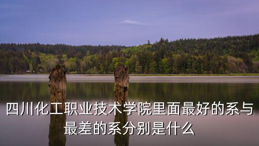 四川化工職業(yè)技術(shù)學(xué)院里面最好的系與最差的系分別是什么