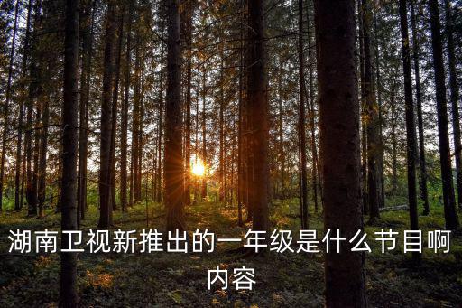 湖南衛視一年級，湖南衛視新推出的一年級是什么節目啊內容