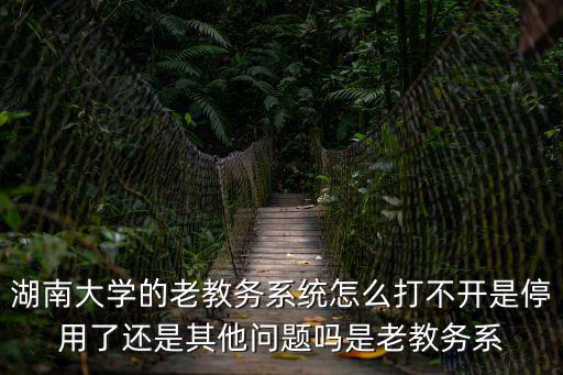 湖南大學的老教務系統怎么打不開是停用了還是其他問題嗎是老教務系
