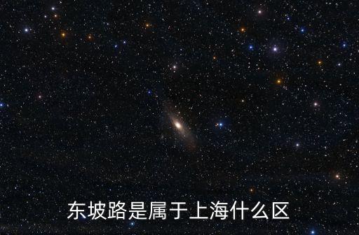 東坡路是屬于上海什么區(qū)