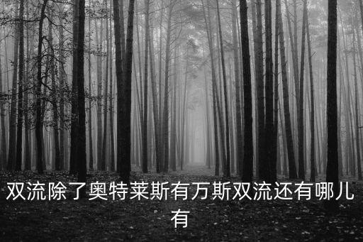 雙流除了奧特萊斯有萬斯雙流還有哪兒有