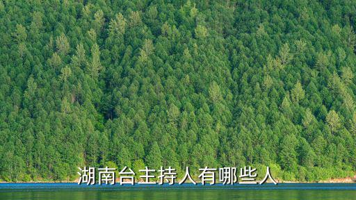 湖南電視臺主持人，湖南電視臺的所有主持人