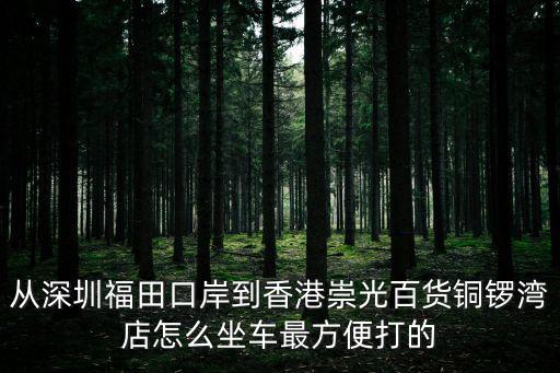 從深圳福田口岸到香港崇光百貨銅鑼灣店怎么坐車最方便打的