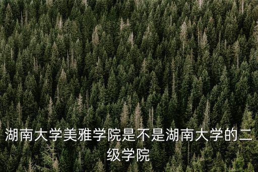 湖南大學美雅學院是不是湖南大學的二級學院