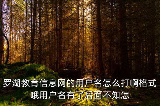 羅湖教育信息網的用戶名怎么打啊格式哦用戶名有了后面不知怎