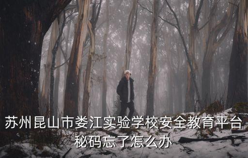 蘇州昆山市婁江實驗學校安全教育平臺秘碼忘了怎么辦