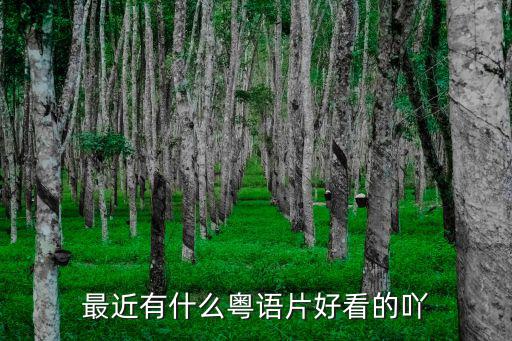 最近有什么粵語片好看的吖
