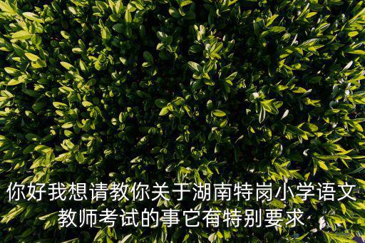 你好我想請(qǐng)教你關(guān)于湖南特崗小學(xué)語(yǔ)文教師考試的事它有特別要求
