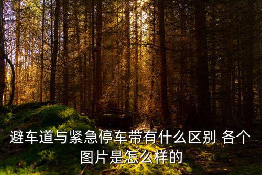 緊急停車帶，緊急停車帶與避車道標志設(shè)置的地方以及區(qū)別