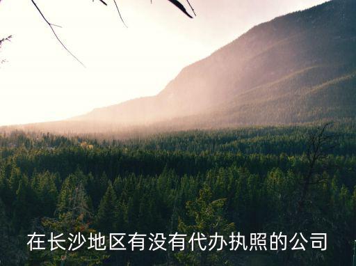 在長(zhǎng)沙地區(qū)有沒有代辦執(zhí)照的公司
