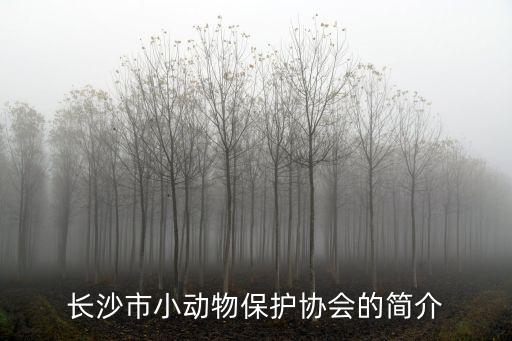 長沙市小動物保護協會的簡介