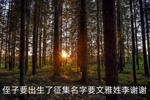 李嘯天，尋仙李嘯天戰狼能賣幾塊錢