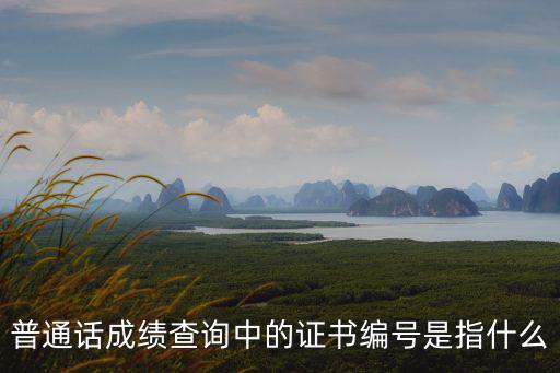 普通話成績查詢中的證書編號是指什么