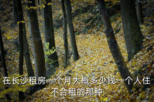 在長沙租房一個月大概多少錢一個人住不合租的那種