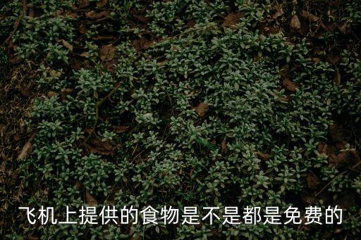 飛機上的食物是免費的嗎，飛機上的食物是免費的嗎