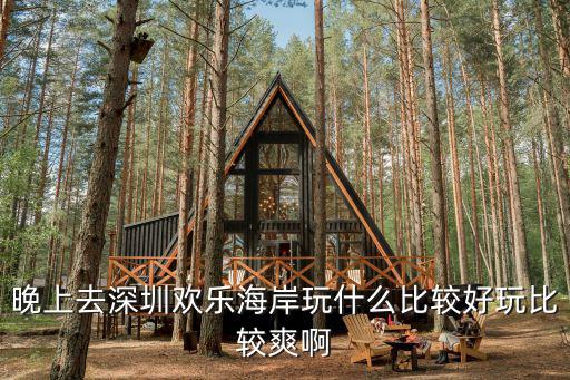 晚上去深圳歡樂海岸玩什么比較好玩比較爽啊