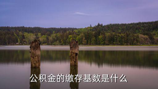 公積金繳存基數(shù)，公積金繳存基數(shù)5365元啥意思
