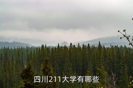 四川211大學有哪些