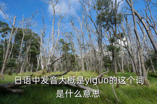 日語中發(fā)音大概是yiguo的這個詞是什么意思
