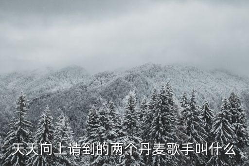 珂蘭葵爾瑞，天天向上請到的兩個丹麥歌手叫什么