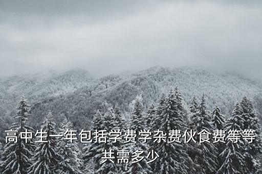 高中生一年包括學費學雜費伙食費等等共需多少