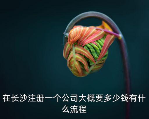 在長沙注冊一個公司大概要多少錢有什么流程