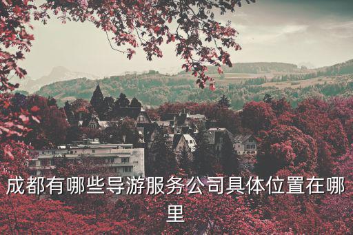成都有哪些導游服務公司具體位置在哪里