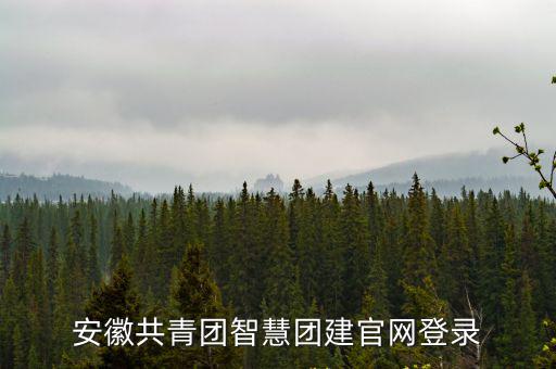 安徽共青團智慧團建官網(wǎng)登錄