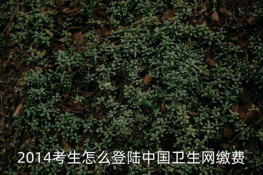 2014考生怎么登陸中國衛生網繳費
