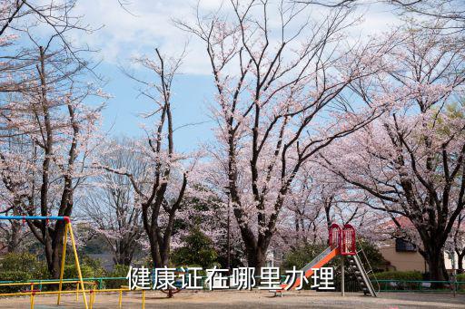 健康證在哪里辦理
